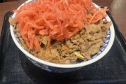 牛丼ってのはこれくらいがベスト