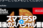 【朗報】スマブラ最後のDLC、ガチで大物が参戦する模様
