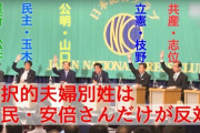 頼りになるのはやっぱり安倍さんだけ！