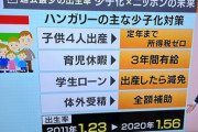 「ハンガリーの少子化対策」が凄いと話題。出生率が1.23から1.56へ。