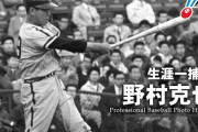 野村克也(28)←獲得するなら年俸どれくらい？