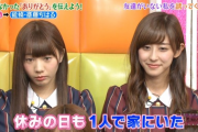 【元乃木坂46】お騒がせ姉妹がコチラｗｗｗｗｗｗｗｗｗ