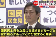 【悲報】国民民主党、立憲と合流したい派としたない派で分党へ