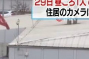 親日トルコさん「日本さん、カルロス・ゴーンまじ終わらせますから！」⇒ 衝撃の展開ｗｗｗｗｗ