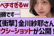 【衝撃】金川紗耶さんセクシーショットが公開される！【乃木坂工事中・乃木坂46・乃木坂配信中】