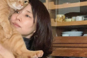 石田ゆり子「動物を機内に持ち込めることを許して」羽田衝突事故受けペットの“物扱い”に声を上げる