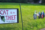 「うちの猫は泥棒です！」大きな看板を掲げて持ち主へと物を返そうとする女性が話題に