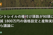 コントレイルの種付け頭数が90頭に急減 1800万円の価格設定と産駒実績から議論に