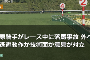 谷原騎手がレース中に落馬事故 外への逃避動作か技術面か意見が対立