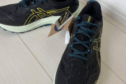 【画像】山用の靴を新調したので願掛け登山してきた！！！
