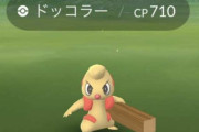 【ポケモンGO】色違いのドッコラーが日本でも実装されていた！みんなもうゲットした？
