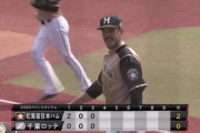 【練習試合vsロッテ】日ハムバーヘイゲン、3回無失点の好投！