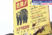 【クマ】「日当安すぎ！」 交渉決裂で熊ハンター去る→またヒグマ現れるも、もう猟友会とは連絡つかず…北海道