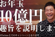 前澤「10億配るからRTしてやで～」ワイ「…」