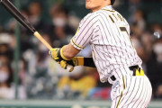 【阪神】糸井嘉男が代打で犠飛「自分に任された仕事、最低限」貴重な追加点