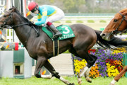 【毎日杯】5番人気シーズンリッチ差し切ってV！人馬共に重賞初勝利