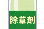 「ウチにも除草剤まいてくれ」ビッグモーターへのいたずら電話多発