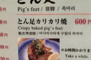 韓国人「韓国人が日本に来て衝撃を受けた『豚足料理』がこちらです」→「是非食べたい‥（ﾌﾞﾙﾌﾞﾙ」　韓国の反応