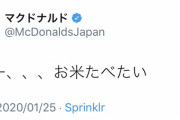 【朗報】マクドナルドさんついに衝撃的な新メニューを出す