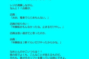 (ヽ´ん`)「ゲームショップで不愉快な思いをした」
