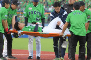 ヤクルト・塩見、前十字靭帯損傷＆半月板損傷　全治不明