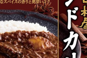 新宿中村屋 インドカリー ビーフスパイシー×5個がプライムデー特価！