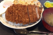 【画像】この麻婆チーズカツ1200円ｗｗｗｗ