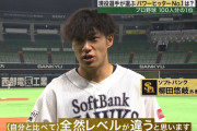 プロ野球選手100人分の1位　パワーヒッター部門2020