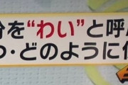 【悲報】JKの間で一人称「ワイ」が流行る