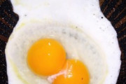 はじめて黄身が2個の玉子きた（´・ω・  `）（※画像あり）