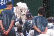 【動画】レオくん、声出しでライオンズに気合いを入れる！