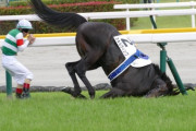 【動画】日本ダービー、2番人気スキルヴィングがゴール直後に倒れ死す