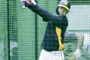 抹消の阪神・糸原　長期離脱も　矢野監督「これからのことを考えると、今のうちにというところで」