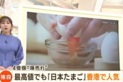 最高値更新中の日本のタマゴ　海外で大人気に…海外では１２００円の高級品　４億個爆売れ