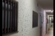【動画】カメムシが大量発生したマンション、マジでとんでもない地獄になってしまう、日本全国カメムシ大量発生、例年の10倍以上