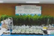 【山梨】グエン容疑者ら３人逮捕　自宅や工場跡地で大麻草1300本以上を栽培か