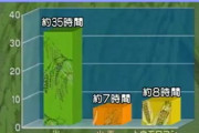 ヨーロッパ「小麦育てます」←わかる　日本「米と小麦同時に伝来したけど米育てます」←これｗｗｗｗｗ