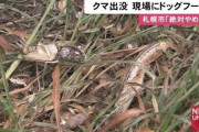 【北海道】18件のヒグマ目撃相次ぐ現場周辺に煮干しやドッグフード散乱…「興味を持つ恐れがあり絶対やめて」