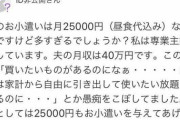 女さん「夫の小遣いは月25000円なんですけど多すぎるでしょうか？夫が愚痴を…」