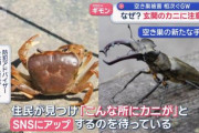 【悲報】｢玄関前にカニ」がいた家、次々と空き巣の被害にあうｗｗｗ