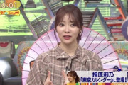 【ワイドナショー】指原莉乃「内縁の妻さんは何も悪くないのに名前が晒されてかわいそう」
