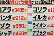 【画像】アザラシさん、年間の食費29万円とネコちゃんより安いことが判明