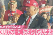 このままでは国産｢肉じゃが｣が食べられなくなる…アメリカ産生食用ジャガイモ輸入解禁の最悪シナリオ　[9/2]