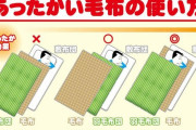 【画像】正しい毛布の使い方ｗｗｗｗｗｗｗｗ