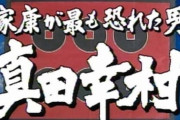 徳川家康が最も恐れた人物ｗｗｗｗｗｗｗｗｗｗｗｗ