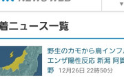 【これは酷い】NHK速報「北朝鮮ミサイル落下」⇒ 「誤りでした」と謝罪...訓練用文章を誤配信