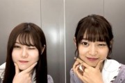 【乃木坂46】伊藤理々杏×阪口珠美 可愛い.gif