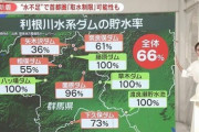 東京民「ああああああ！！水がないいいいい！！！」