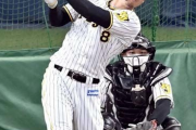 【ゲンダイ】佐藤輝明は阪神秋季Cで強制帰阪寸前だった…岡田監督がボヤキどころか激怒したワケ