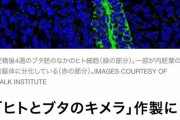 猿が人間になるのは不可能ダーウィンの進化論は間違い有名大学教授が宣言 |  ミッシングリンクの証明はよ